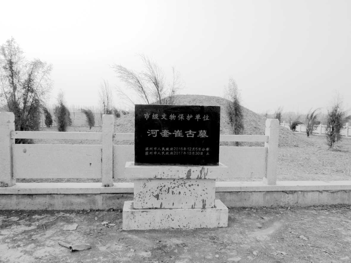 02.jpg