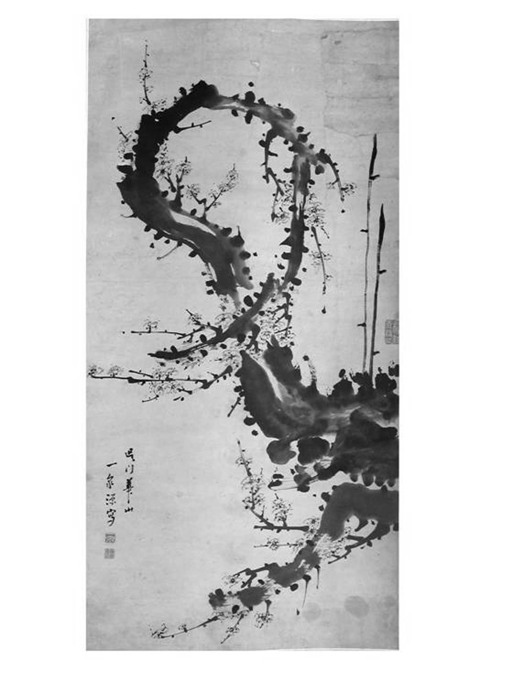 1517882455811053.jpg 3.jpg