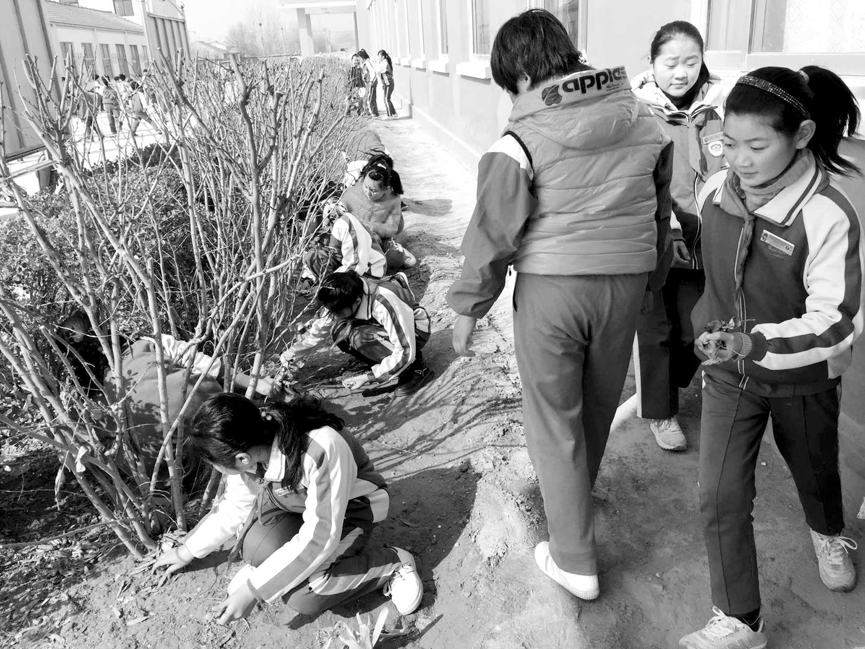 1521163250365637.jpg 06.jpg