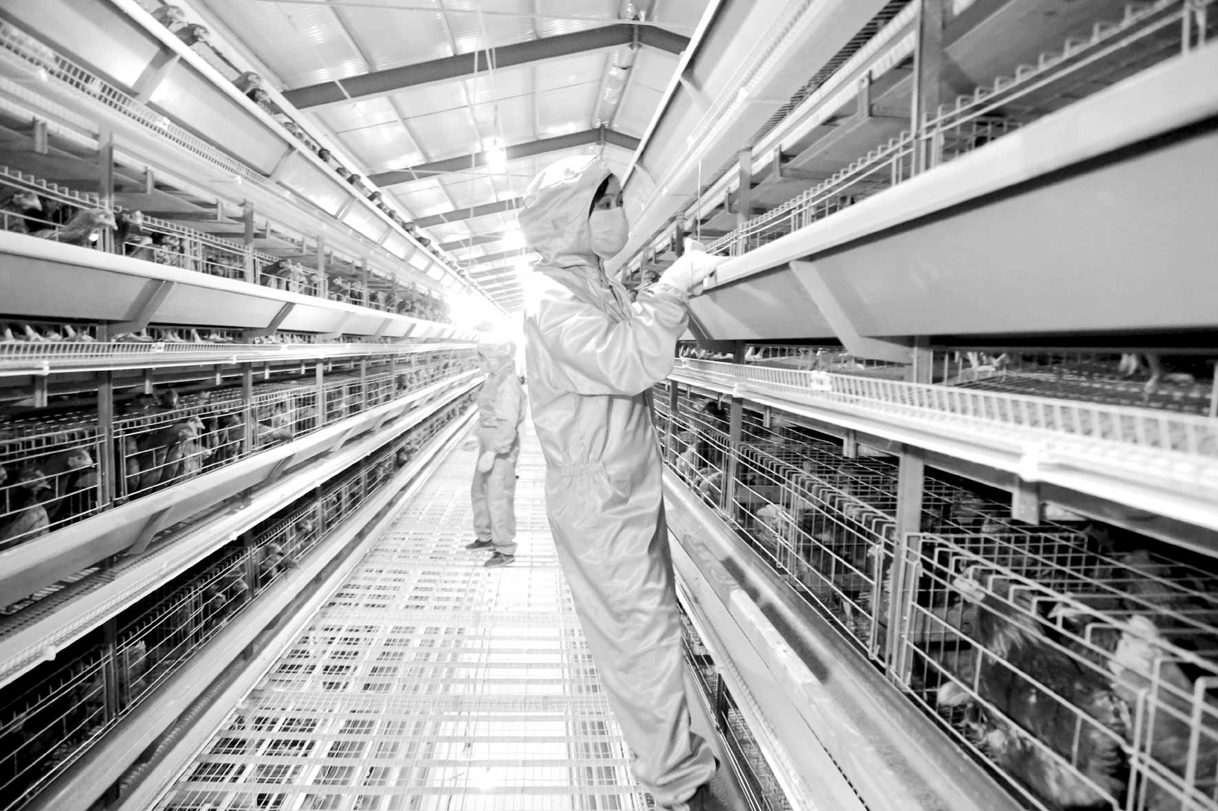 1524793483825388.jpg 3.jpg