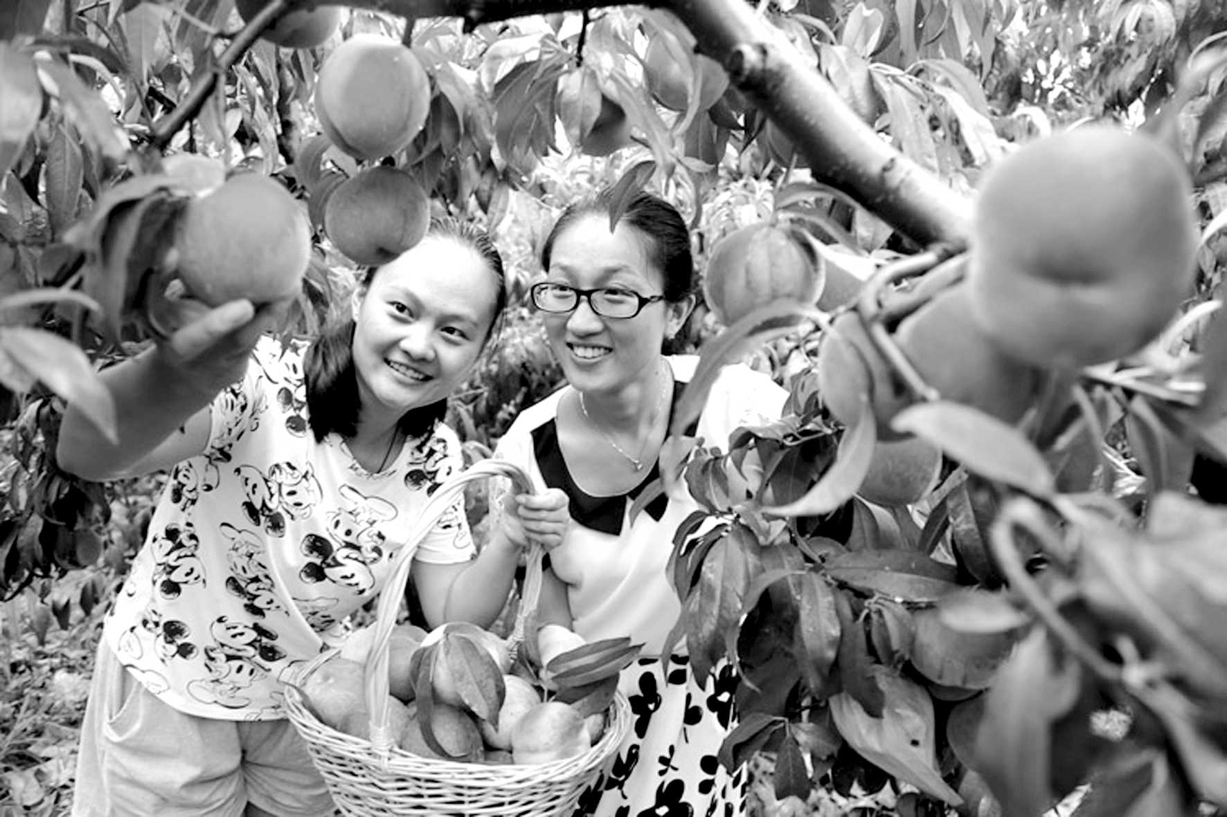 1526347153872289.jpg 5.jpg