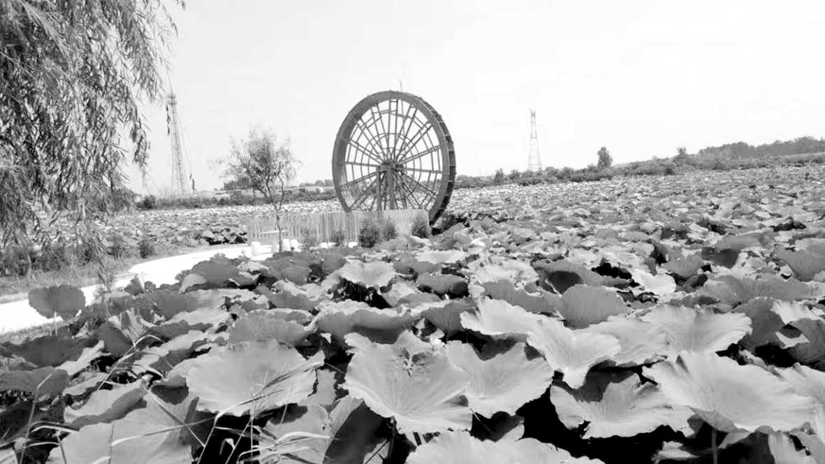 1526347190520257.jpg 2.jpg