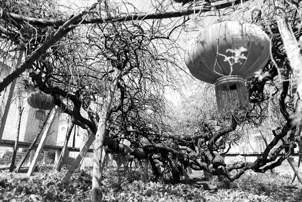 1527472714108889.jpg 4.jpg