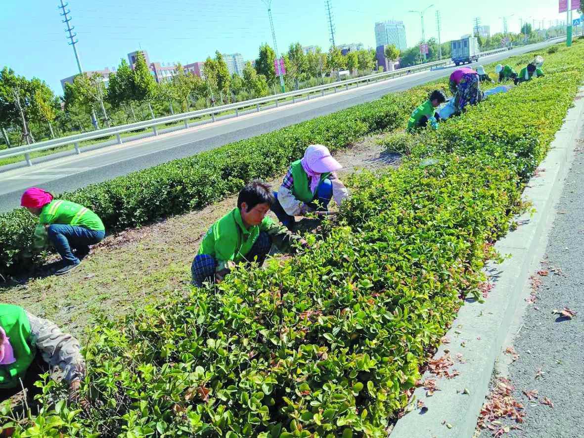 1536282704926659.jpg 13.jpg