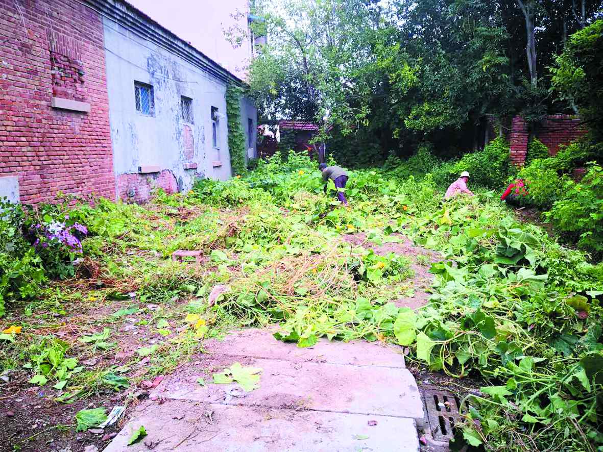 1536282887715249.jpg 02.jpg