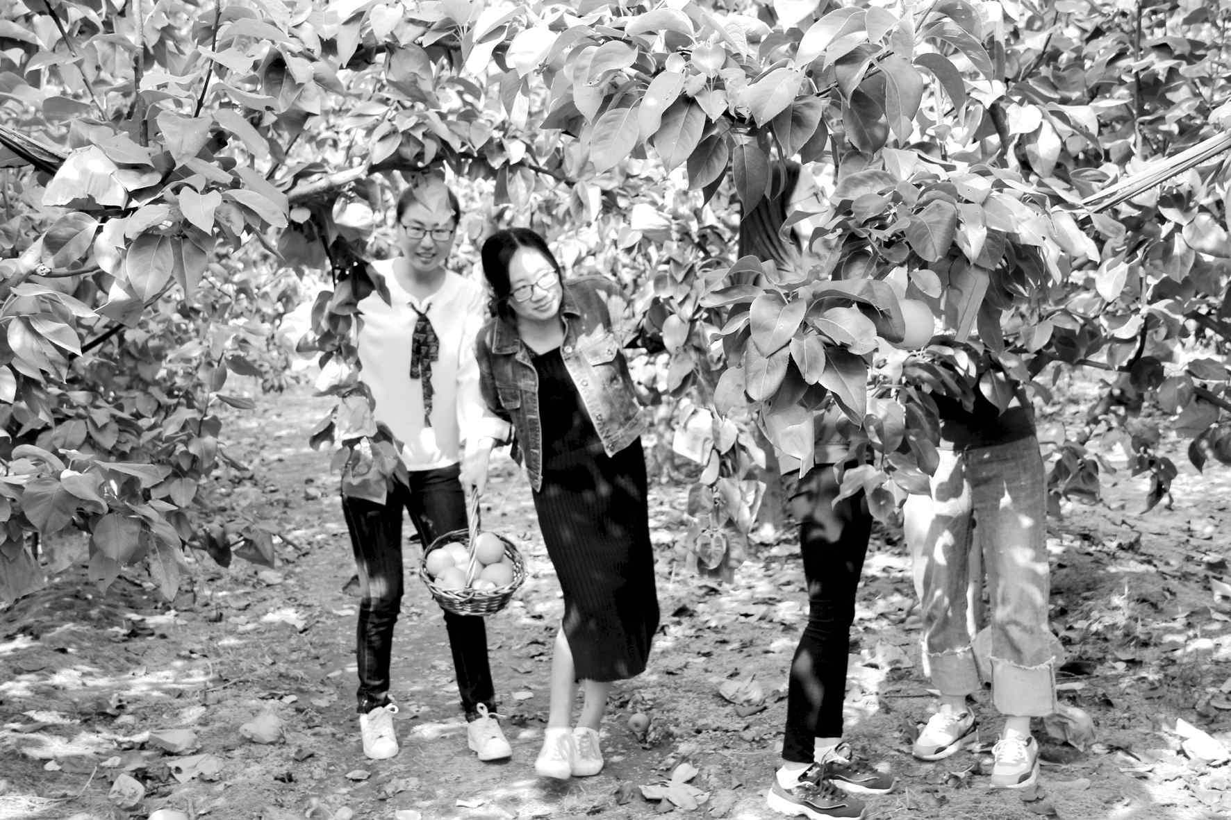 1539912853356755.jpg 10.jpg