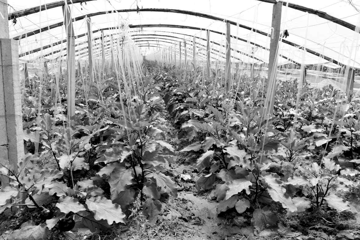 1539912909143561.jpg 05.jpg