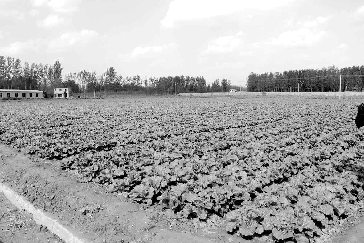 1539912931313276.jpg 11.jpg