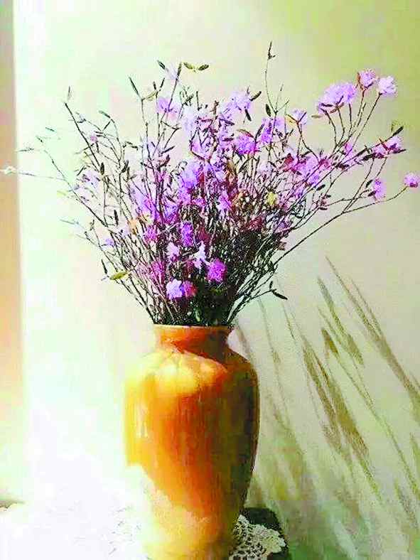 1548118669712985.jpg 05.jpg