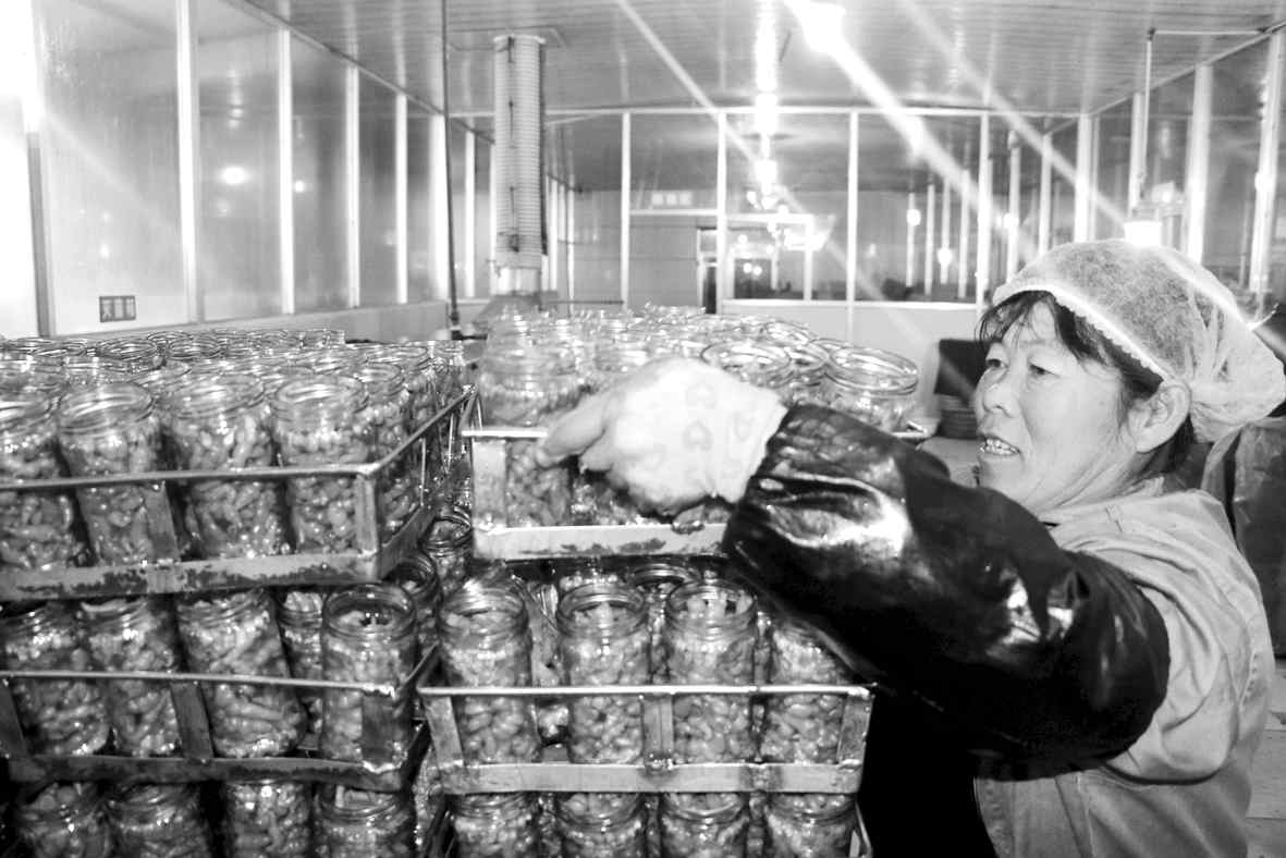 1548120854515328.jpg 06.jpg