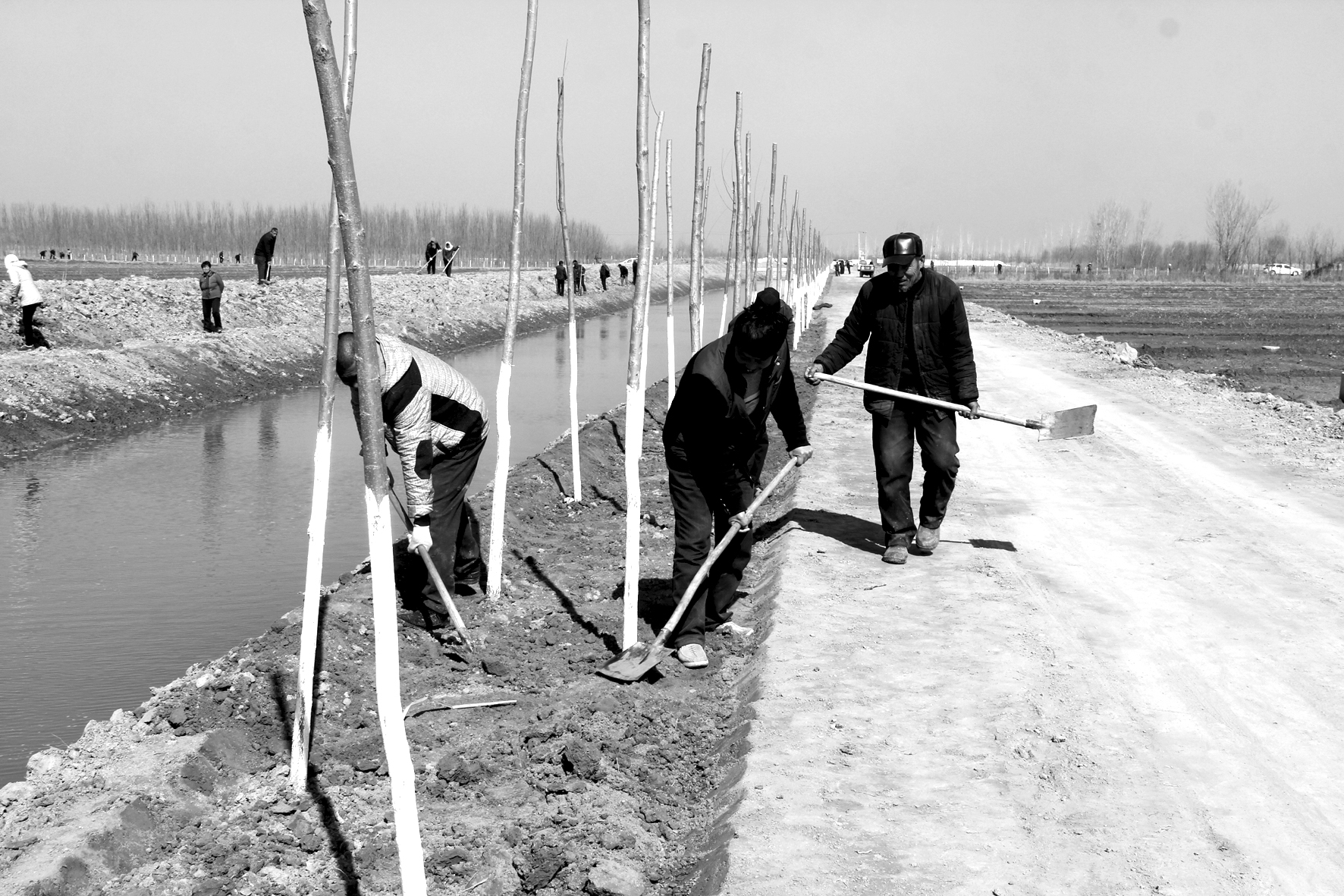 方田4.jpg