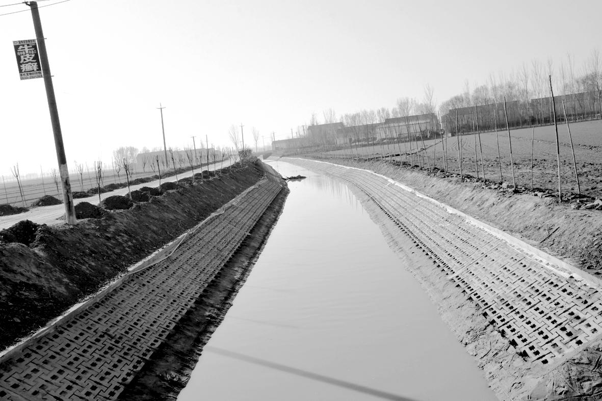DSC_3881.jpg