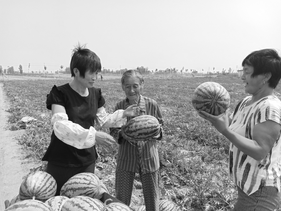 微信图片_20190618165517.jpg