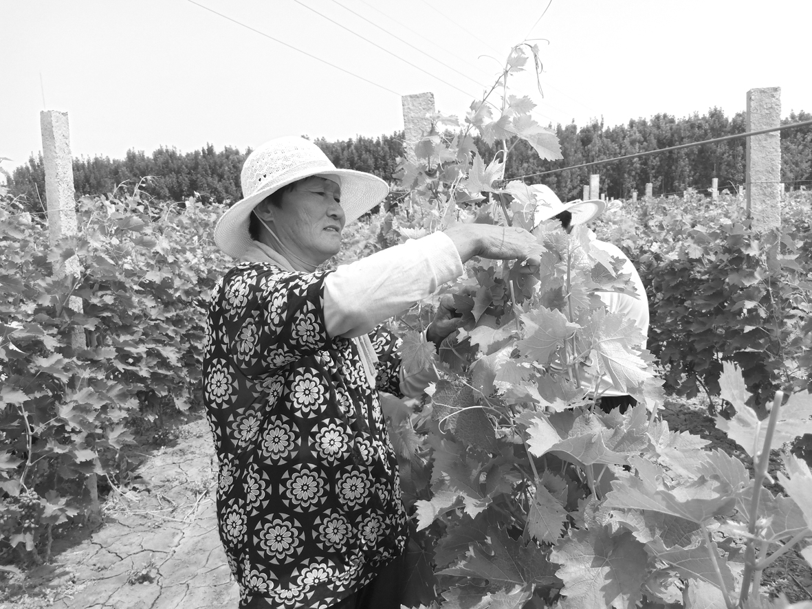 微信图片_20190618165522.jpg