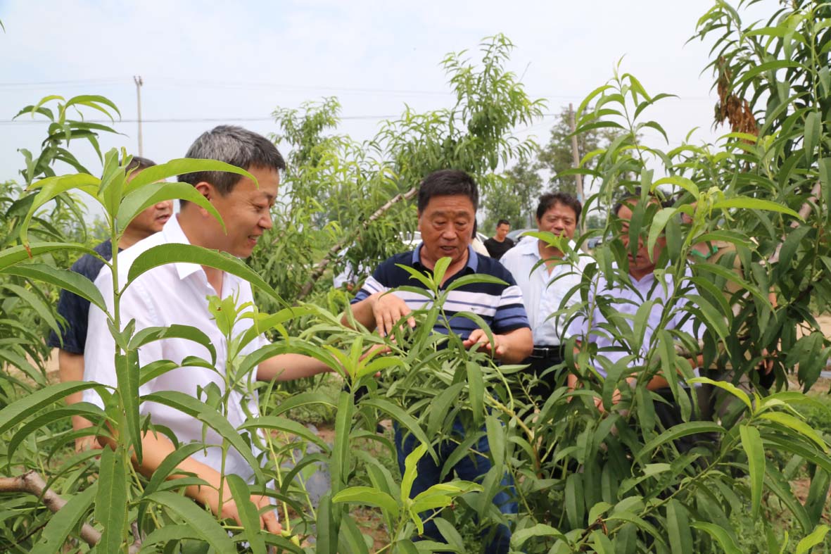 现场示范.jpg
