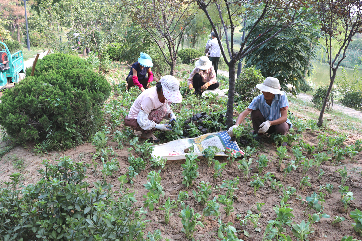 IMG_0415呃呃呃从.jpg