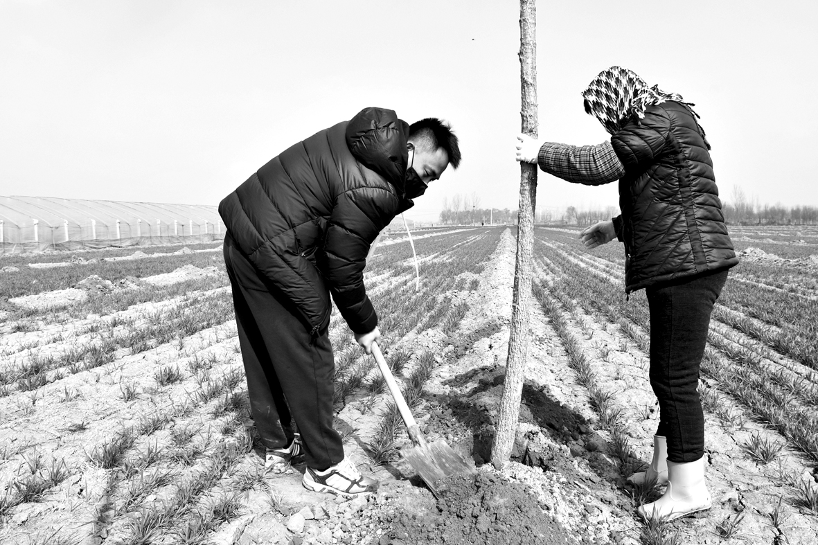 1584063237821764.jpg 桑落墅镇:高标准植树25000余棵,为春天种下“一抹绿” (1).jpg