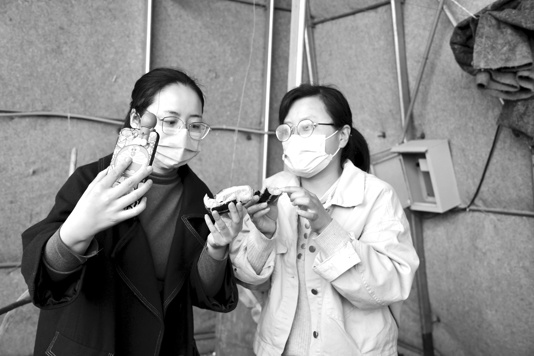 1588038736260463.jpg 桑落墅0.jpg