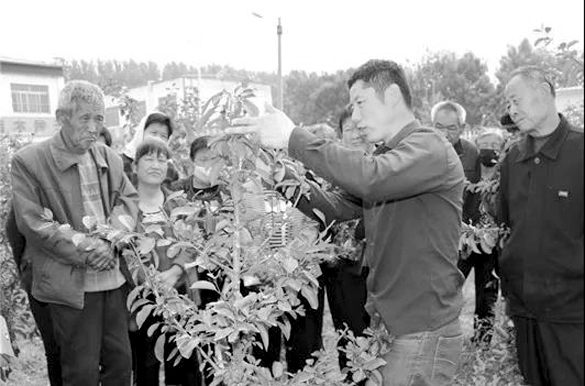 微信图片_202005cccccccc18153032.jpg