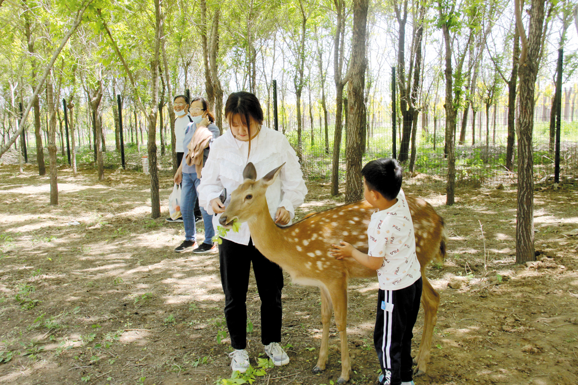 IMG124857_7345.jpg