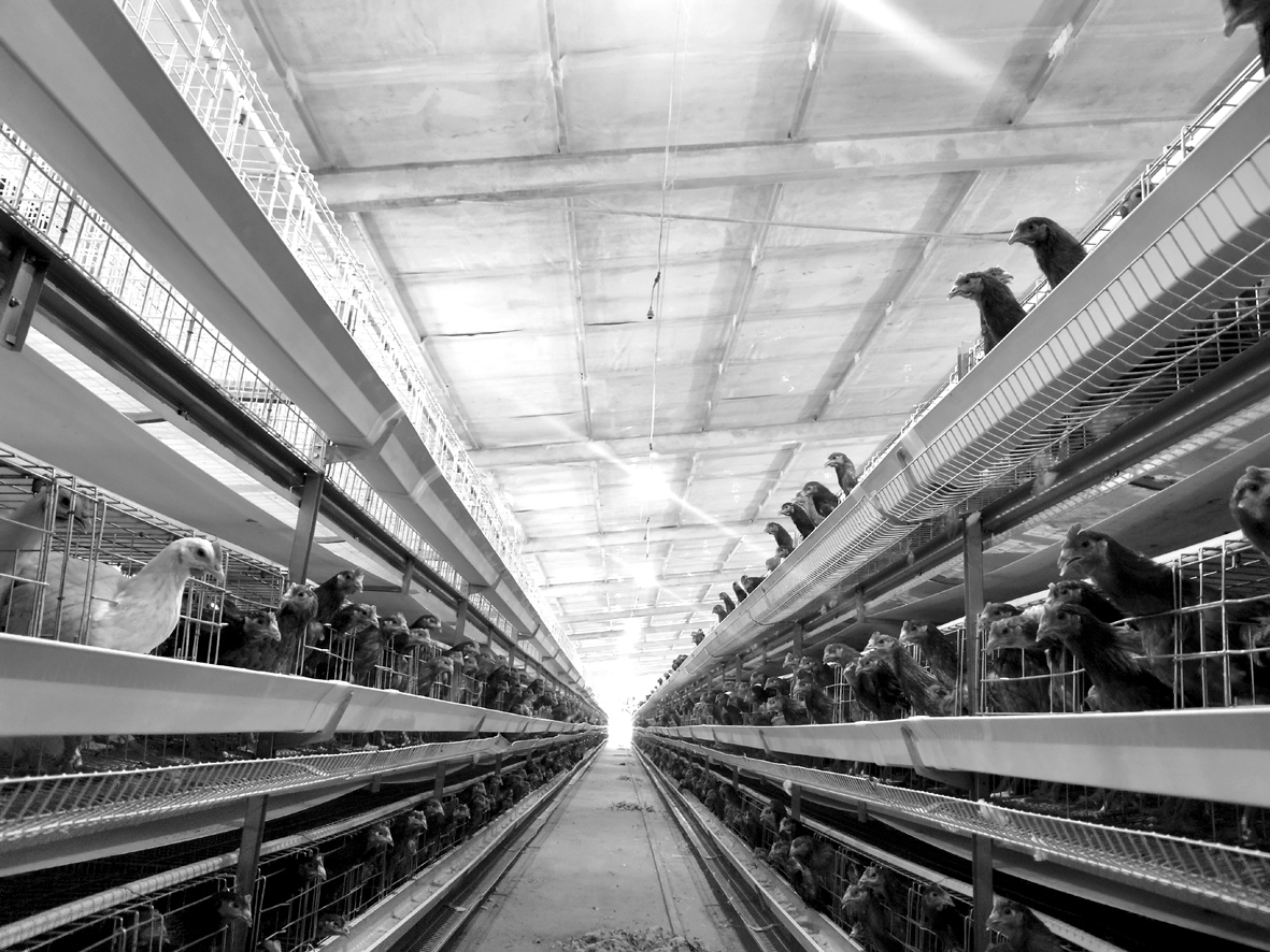 1590461537720020.jpg 微信图片_20200521233332151703.jpg