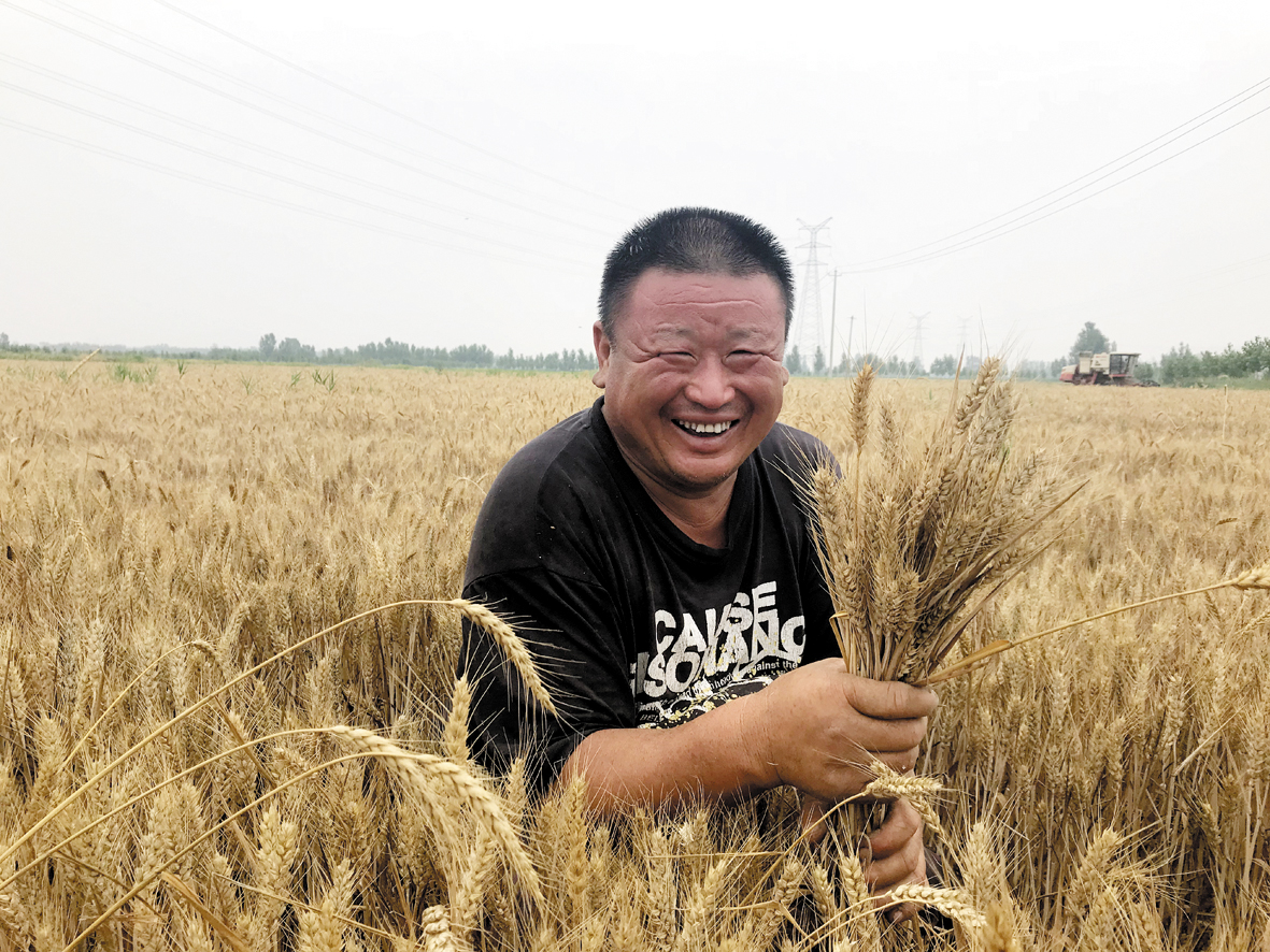 种粮大户喜迎丰收.jpg