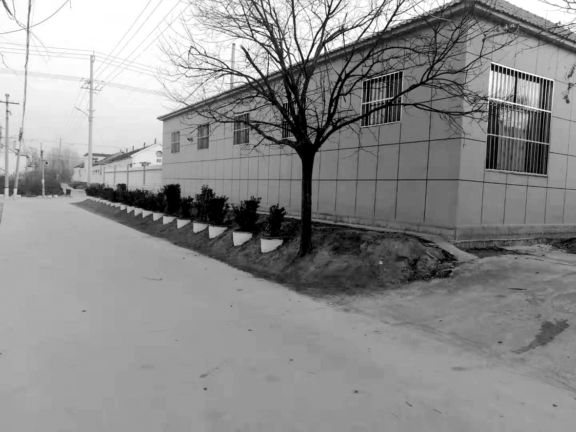 1594712862145859.jpg 图8建设美丽乡村88初见成效.jpg