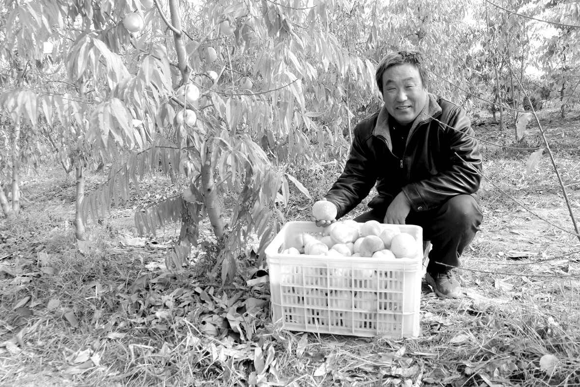 微信图桃桃桃片_20201117155433.jpg