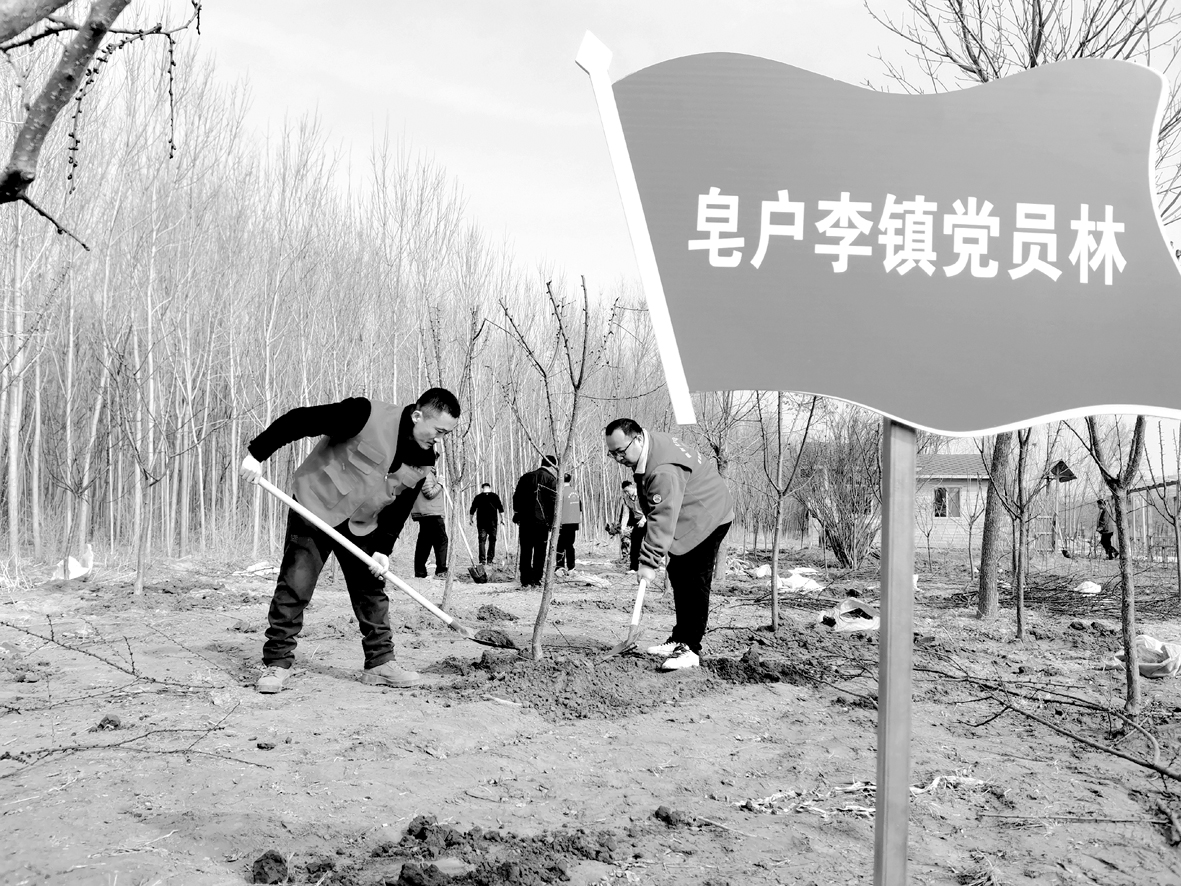1615863527795117.jpg 微信图片_202ddddddd10315095235.jpg
