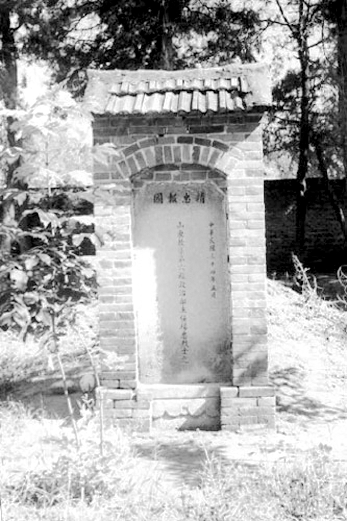 杨忠烈士墓.jpg
