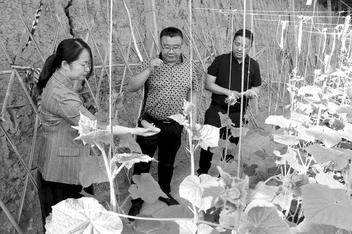 1622509752327669.jpg 微信图片_20210529182208.jpg