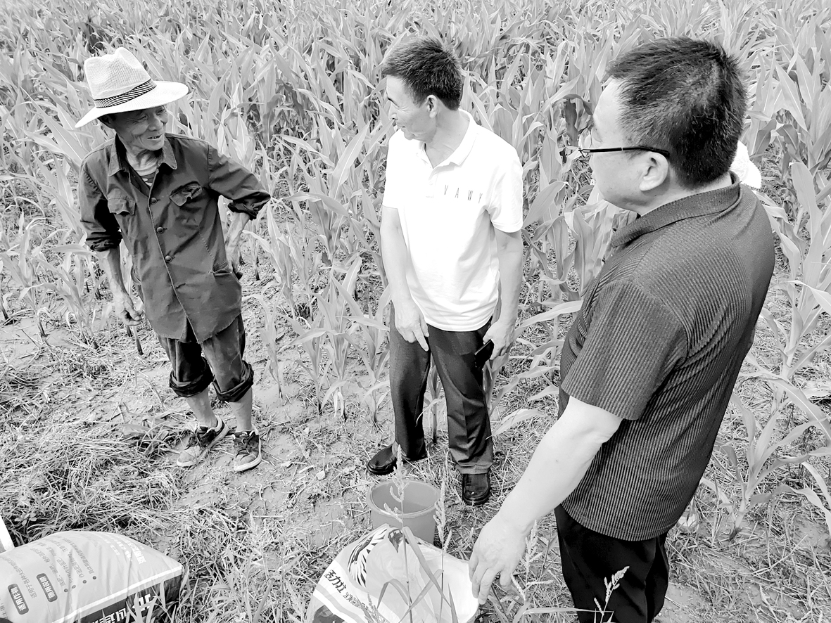 1627031540152993.jpg b13ed099vvcvbvcbcv f21bf4d6dd49e7444f4cc49.jpg