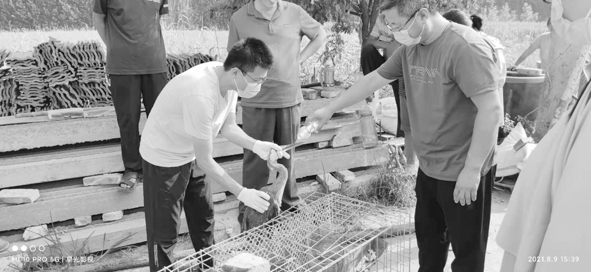 1628820120122655.jpg 微信图片_2xcfgdsfhs0210812105012.jpg