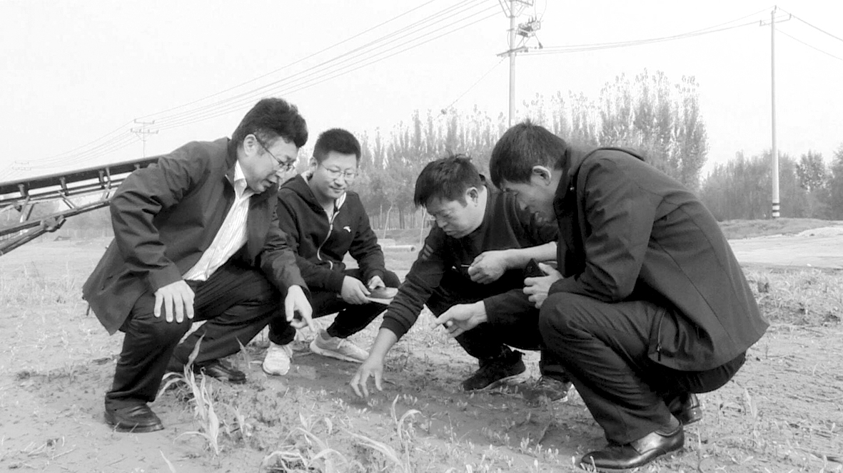 微信图片hjmkgdf_20211018095022.jpg