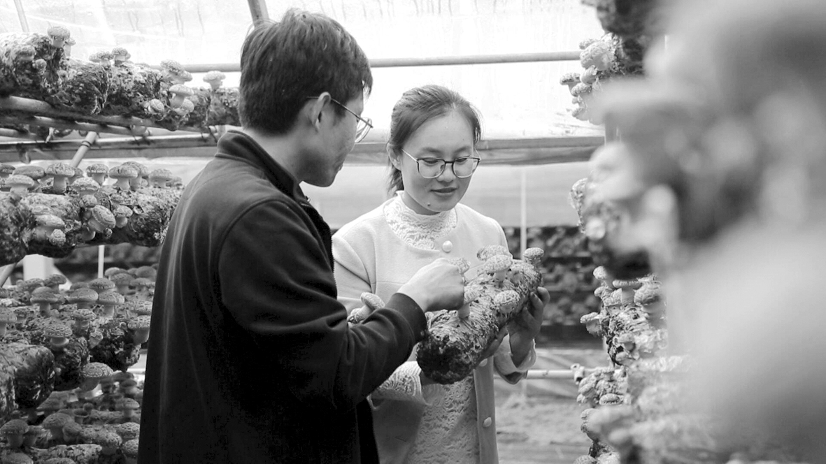 1635212214616568.jpg 微信图片_202nbmcb1020154636.jpg