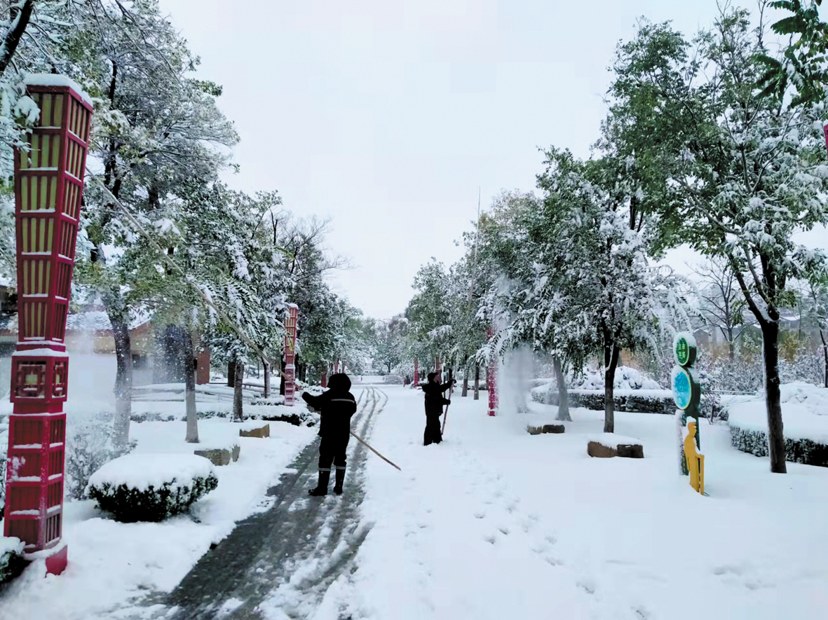 清理树枝积雪.jpg
