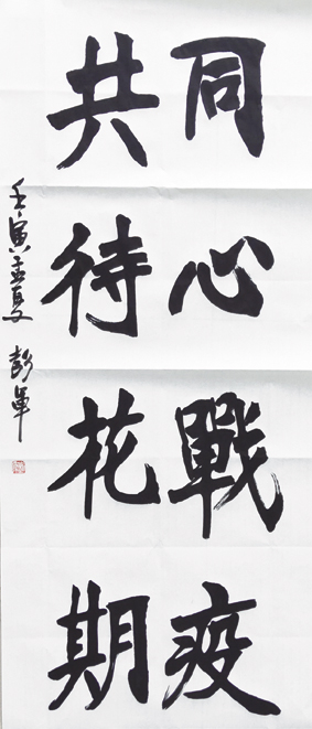 彭军抗疫书法.jpg