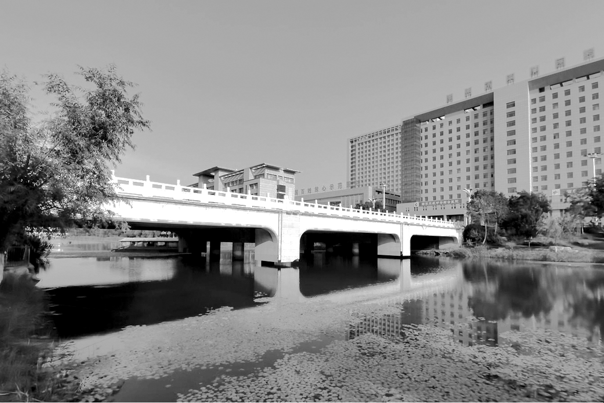 桥梁11（市中心医院西桥）.jpg