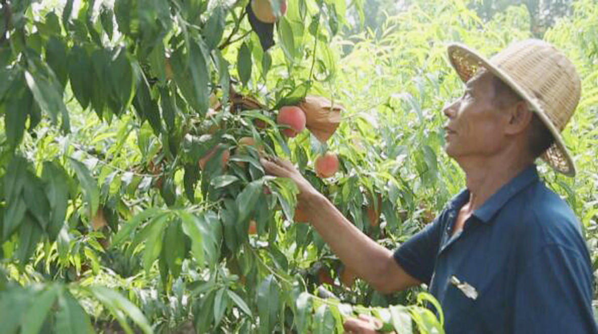 1660290922787318.jpg QQ截图20220802085949.jpg