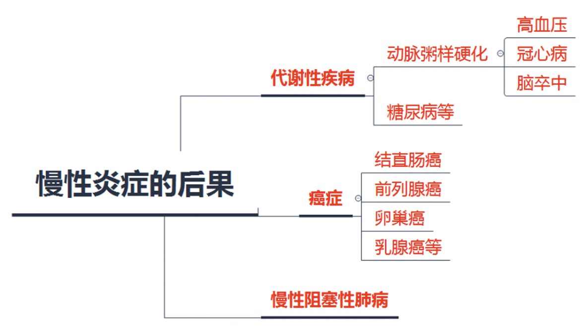 慢性炎症的后果 副本.tif.jpg