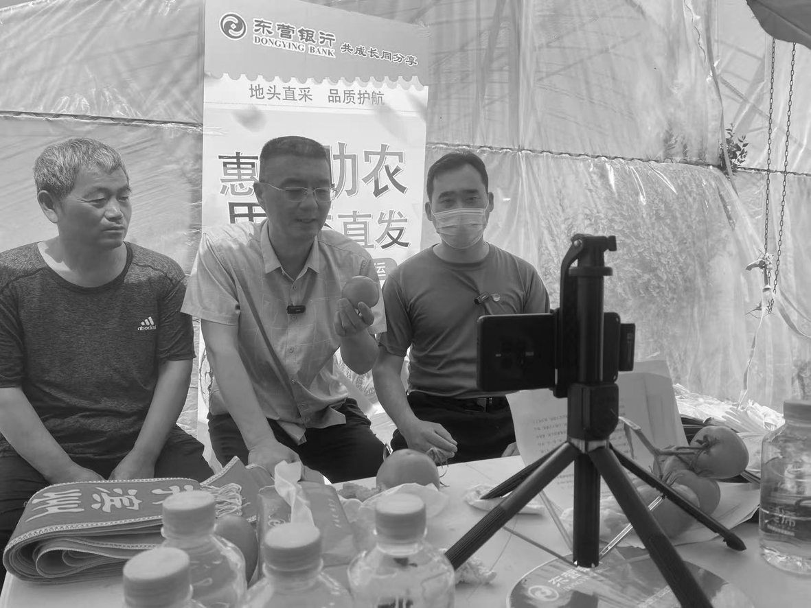 图片2 (1).jpg